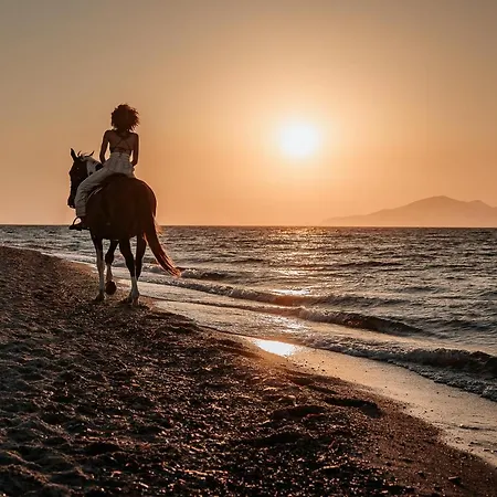 Ξενοδοχείο Meni & Τιγκάκι
