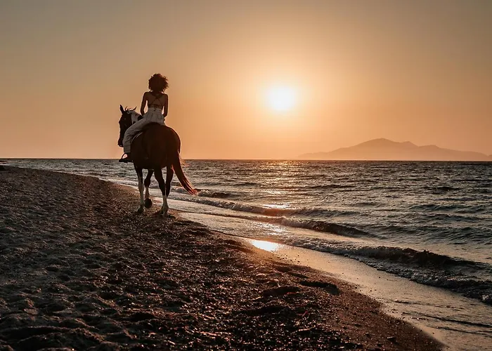Hotel Meni & Tigkaki (Kos)